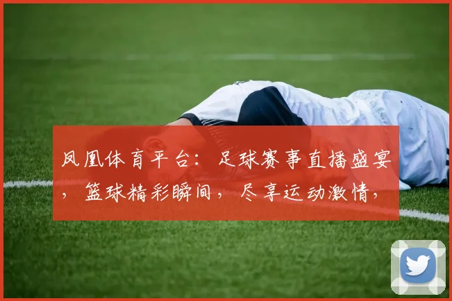 凤凰体育平台：足球赛事直播盛宴，篮球精彩瞬间，尽享运动激情，体育迷必看