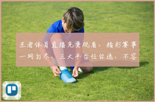 王者体育直播免费观看，精彩赛事一网打尽，三大平台任你选，不容错过